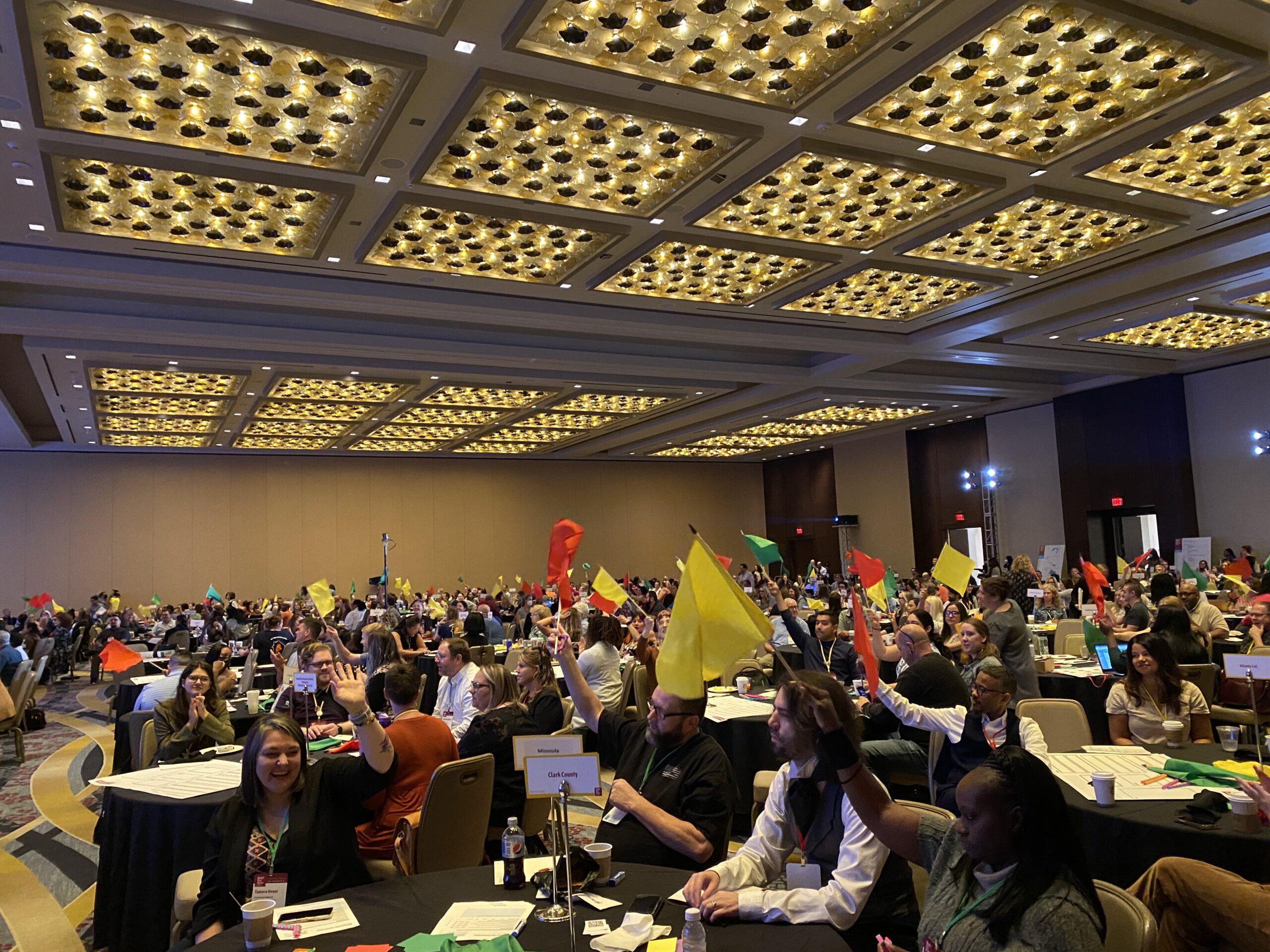 Waving flags at the learning session